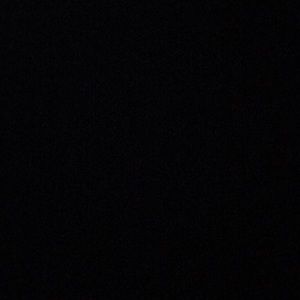 Meet your Posher, Randi